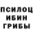 Галлюциногенные грибы Psilocybine cubensis Dmitrii googl