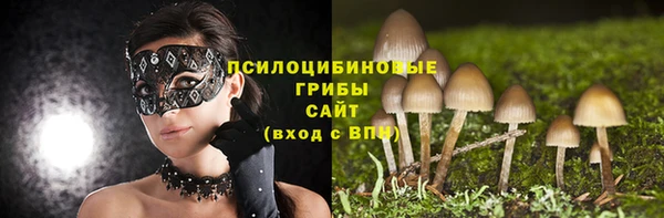меф Ельня