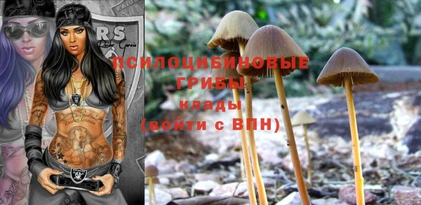 не бодяженный Абинск