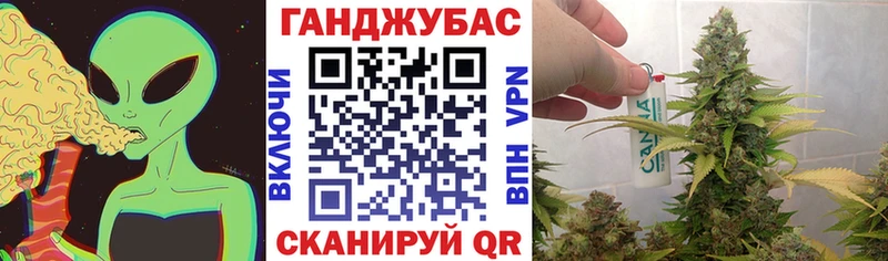 Шишки марихуана THC 21%  сколько стоит  Электроугли 